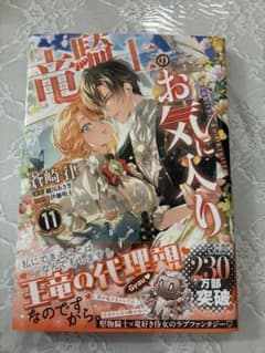 竜騎士のお気に入り 11巻 少女漫画のサムネイル