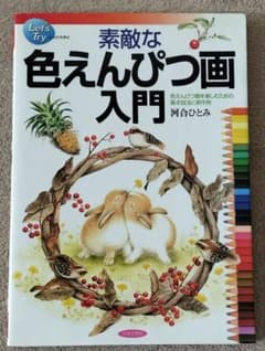 素敵な色えんぴつ画入門 : 色えんぴつ画を楽しむための基本技法と実作例のサムネイル