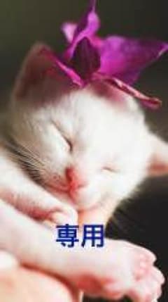 yuri様用のサムネイル