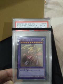 ニャン吉様専用　青眼の究極竜　ホロ  PSA8 　　鑑定品のサムネイル