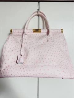 オーストリッチピンクバックのサムネイル