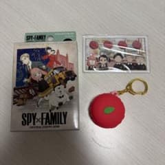 USJ SPY×FAMILY Keychain Macaron