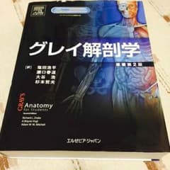グレイ解剖学のサムネイル