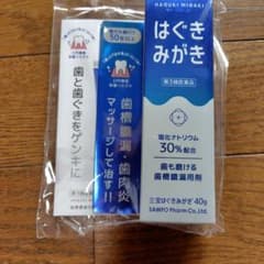 はぐきみがき 40g 歯茎マッサージ用