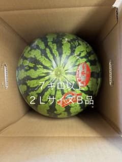 農家直送 大玉 祭りばやし 神奈川 三浦すいか 訳あり家庭用1個7キロ2L