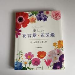 美しい花言葉・花図鑑―彩りと物語を楽しむ―のサムネイル