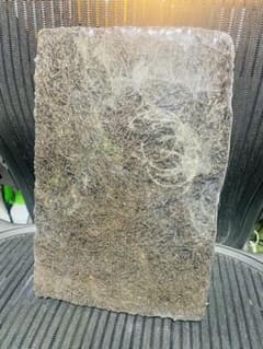 ヘゴ板（20cm×30cm）未使用品のサムネイル