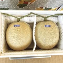 ゆこた様専用高知特産 高級温室メロン 2玉入り箱込み5.7キロ - メルカリ