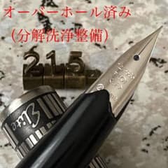 #215 オーバーホール済み 万年筆 PILOT 全格子 Elite 14k 215 オーバーホール済み 万年筆 PILOT 全格子 Elite 14k - メルカリ