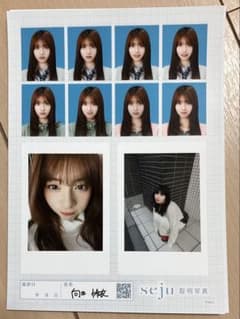 向井怜衣 seju 証明写真風フォトシートのサムネイル