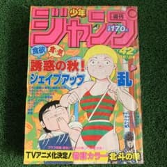 北斗の拳 TVアニメ化決定！】週刊少年ジャンプ42 1984年10月1日 - メルカリ