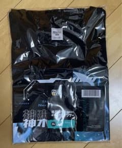 ピッコマ 格闘スキルを極めた最強ネクロマンサー Tシャツ B-1賞 シュンジ 黒のサムネイル