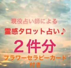 鈴可様専用！みかにゃんこのタロット占い♪ご質問お２つ分ページ♪のサムネイル