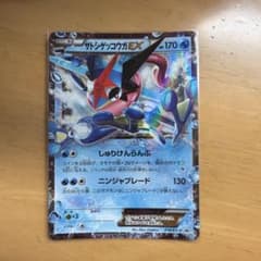 サトシゲッコウガEX P 次世代WHF'16 Winter 来場者特典 キラ … - メルカリ
