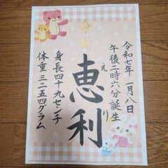手書き毛筆命名書A4サイズオーダー4のサムネイル