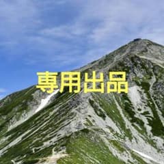 pokokoko様専用　修理パーツのサムネイル