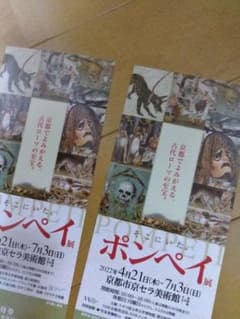 ポンペイ展チケット２枚セットのサムネイル