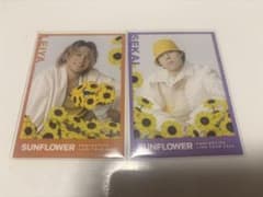 sunflower 世界　瀬口黎弥　シクレ　フォトカードのサムネイル