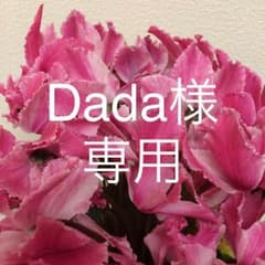 Dada様専用 新品、未使用 エッシャーのマグカップ 2個セットのサムネイル