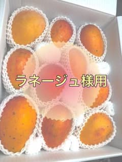 ラネージュ様用　沖縄県産マンゴー ラネージュ様用 沖縄県産マンゴー - メルカリ