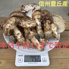 10/19日 朝採れ②信州豊丘産松茸  本日11迄出品のサムネイル