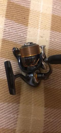 13セルテート　2506Hのサムネイル
