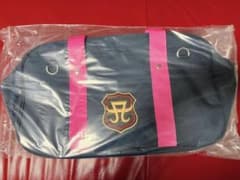 新品未使用・未開封】浜崎あゆみ DVD 初回生産限定盤 スクールバッグ