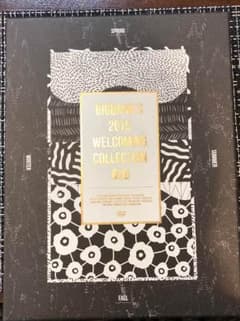 BIGBANG 2015 welcoming collection DVDのサムネイル