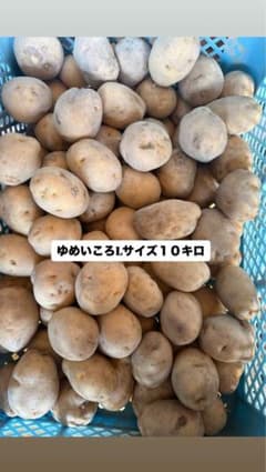 北海道産ゆめいころLサイズ１０キロのサムネイル