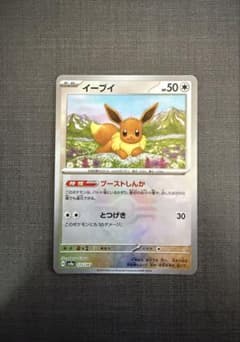 ポ*ん様 イーブイ　マスターボールミラー　テラスタルフェス　引退品　バラ売りのサムネイル