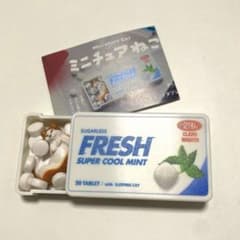 【未使用】ミニチュアねこ ミニチュアミントタブレットねこのサムネイル