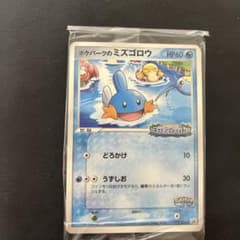 新品・未開封】ポケパークのミズゴロウ プロモカード 048 - メルカリ