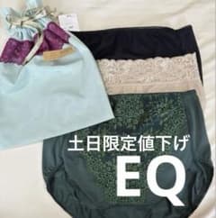 ダイアナショーツ EQサイズ 3色セット ポーチ付き - メルカリ