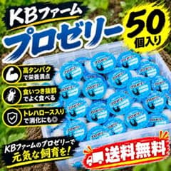 昆虫ゼリー プロゼリー20個 クワガタ・カブトムシ・ハムスター