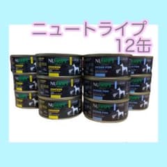 ニュートライプ　ドッグフード　ウェットフードのサムネイル