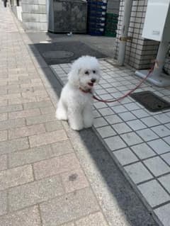 お問合せ用のサムネイル