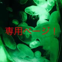ginji923様専用のサムネイル
