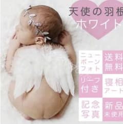 赤ちゃん 羽 記念写真のサムネイル