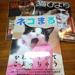 猫の本　3冊セットのサムネイル