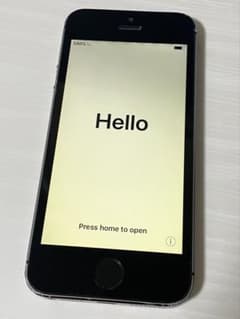 Apple iPhone 5s 본체