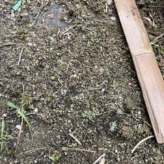 はる専用☆のサムネイル