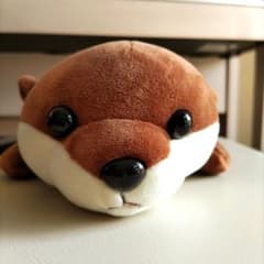 えのすい　カワウソぬいぐるみ　３等のサムネイル