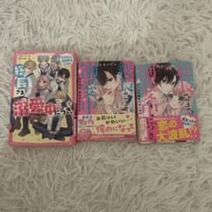 総長さま、溺愛中につき。 1・2巻セットのサムネイル