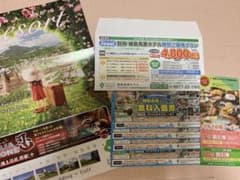 モモンガ様専用 城島高原パーク無料入園券 ホテル ご優待 割引券 別府 大分のサムネイル