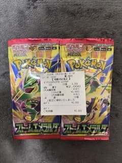 ポケモンカードゲーム ストームエメラルダ 10パックのサムネイル