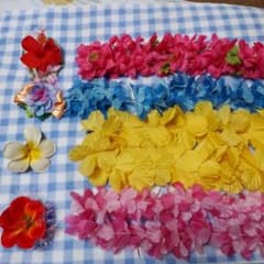 フラダンス　フラワーレイ&クリップのサムネイル