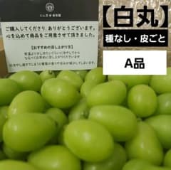 8/21-1　白丸　粒ぶどう　葡萄　ぶどう　果物　くだもの　にん忍葡萄園他のサムネイル