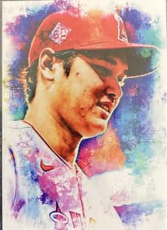 m29495673442_1.jpg?1688385649