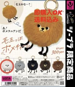 毛玉っぽポメチャーム（シロ）のサムネイル