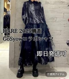 HARE2025晴詣】GoSyowコラボシャツ【新品未使用】 - メルカリ